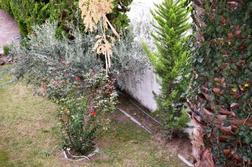 Marinis Boutique Aparthotel