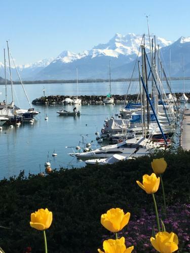Apartamento Belle-rive