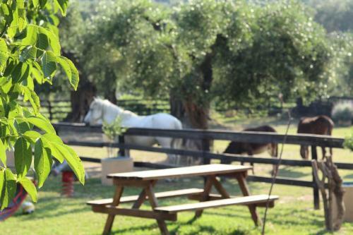 Agroturismo Honigtal Farmland