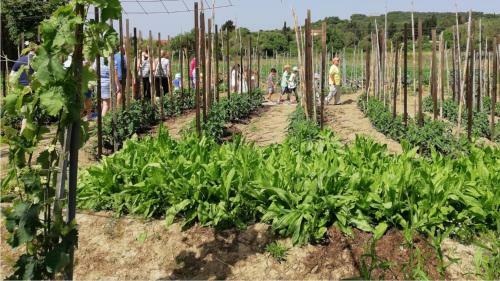 Agroturismo Honigtal Farmland