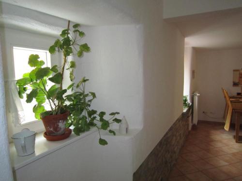 Apartamento Alte Backstube - Ferienwohnung & Appartement