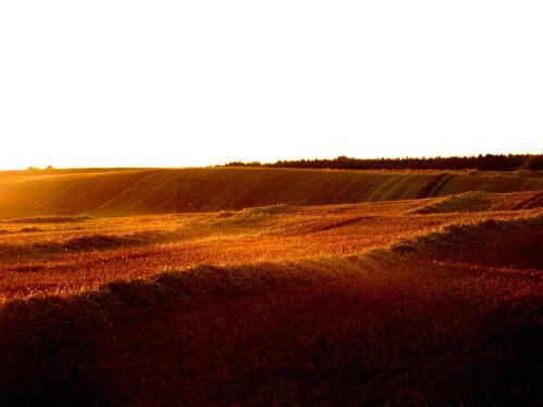 Ferienhaus Mit 4 Schlafraeumen Boi