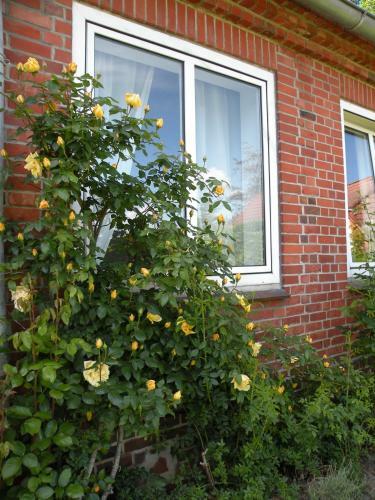 Apartamento Altes Pastorenhus