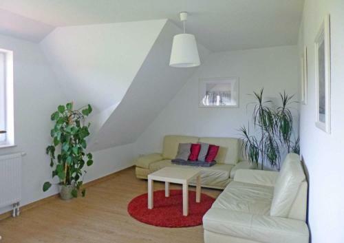 Apartamento Ferienwohnungen In Lipsitz Auf Rue