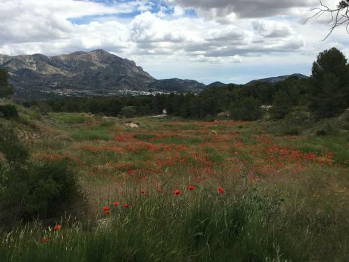 Pinada Del Rio Villa, Alicante