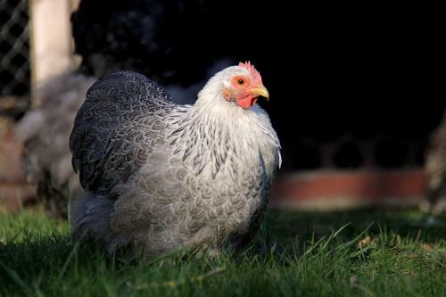 Apartamento Le Petit Appartement En Bourgogne