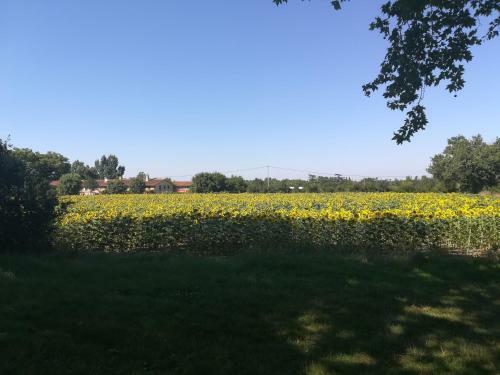 Bed & Breakfast L'estanquet