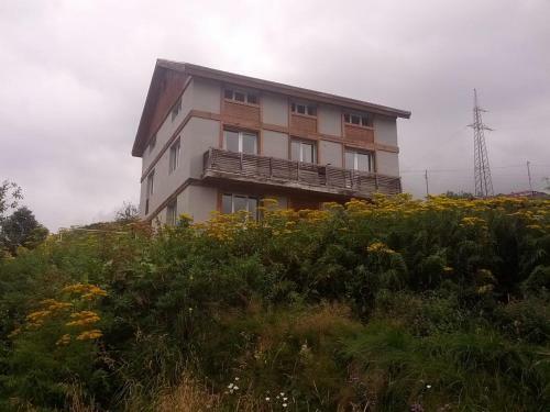 Hostal Hotel Data
