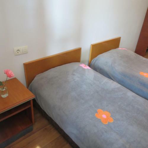 Hostal Tvishi Guest House