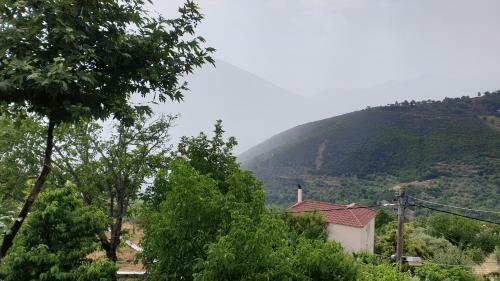Alagonia Country Homes