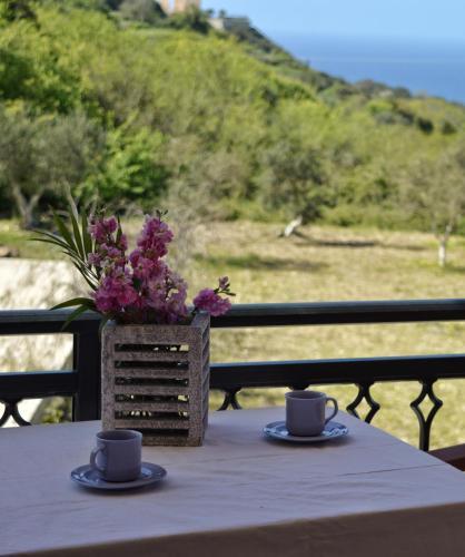 Apartamento Vilatoria Guesthouse