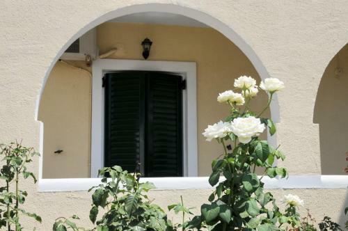 Apartamento Alvi Studios