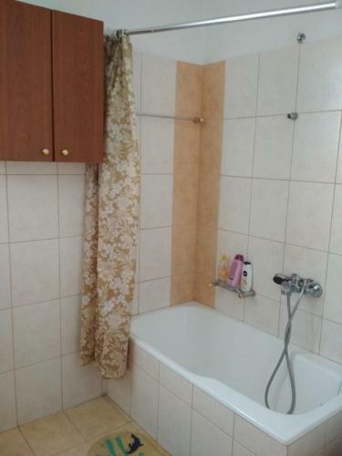 Apartamento Neochori Hotel