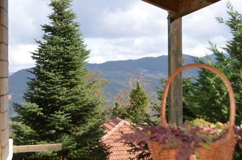 Apartamento Hyas Residence