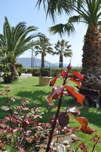 Apartamento Ariadnes Holiday Accommodation II