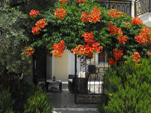 Apartamento Studios Apollon