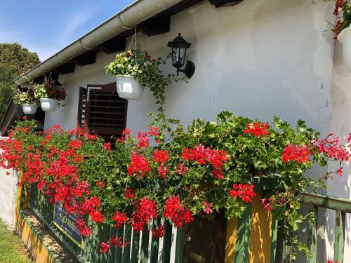 Bed & Breakfast Sobe Glava?