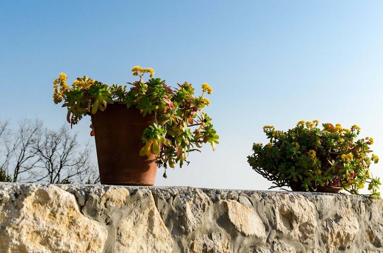 Village House Ana Dubravica