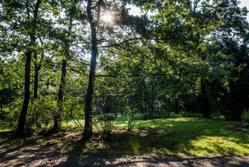 Hostal Zseri Vad�szh�z