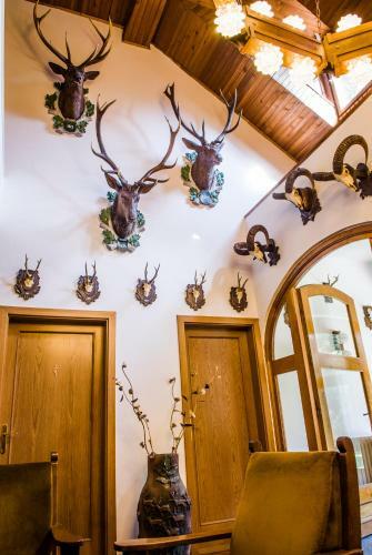 Hostal Zseri Vad�szh�z
