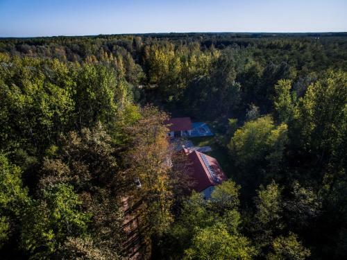 Hostal Bagosi Vend�gh�z