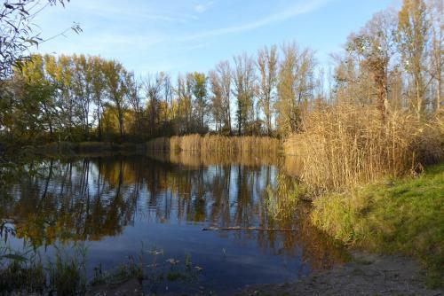 Hostal Vend�gh�z A K�t Toronyhoz