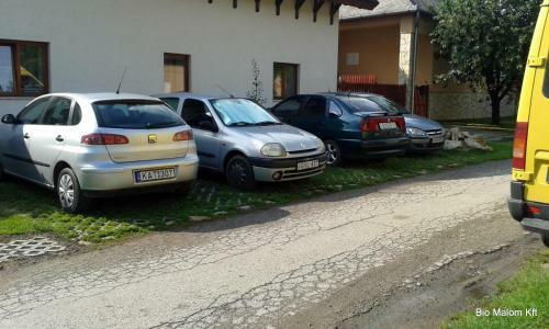 Apartamento J�lia Vend�gh�z