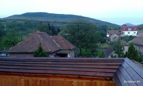 Apartamento J�lia Vend�gh�z
