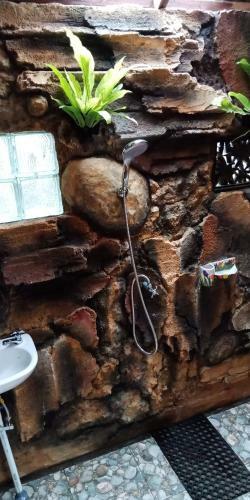 Hostal Tiing Bali Guest House Adventure