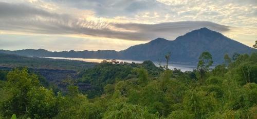 Hostal Tiing Bali Guest House Adventure