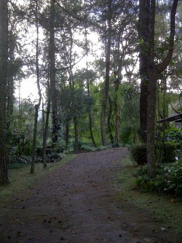 Hotel Lembah Safari Cisarua