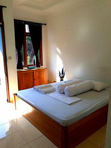 Albergue Bamboo Paradise