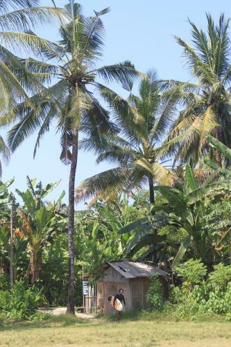 Hostal Medewi Secret Surfcamp