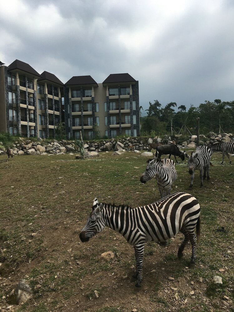 Hotel Baobab Safari Resort
