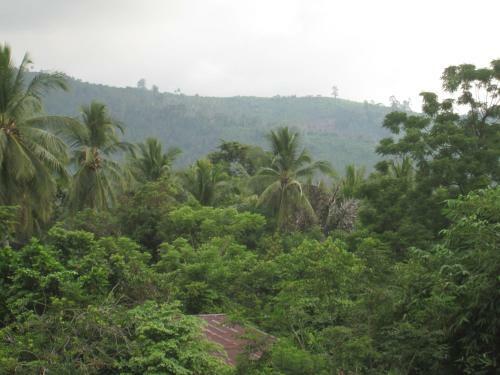 Angela Homestay Manado