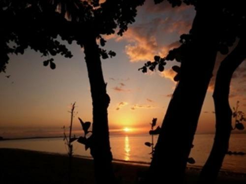 Rinjani Beach Eco Resort