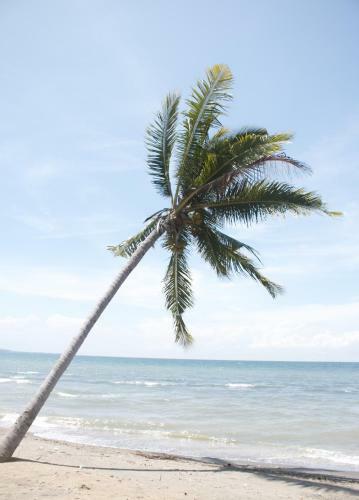 Rinjani Beach Eco Resort