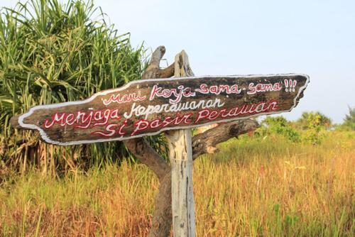 Hostal Pari Solata Seaview Homestay Syariah