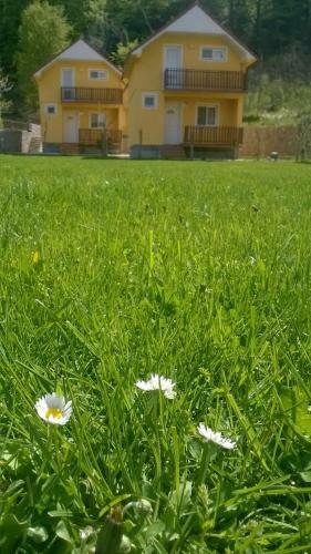 Apartmani Obzovica