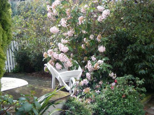 Country Lane Homestay B&B