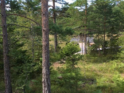 Lodge Maven Kustn�ra Stugor