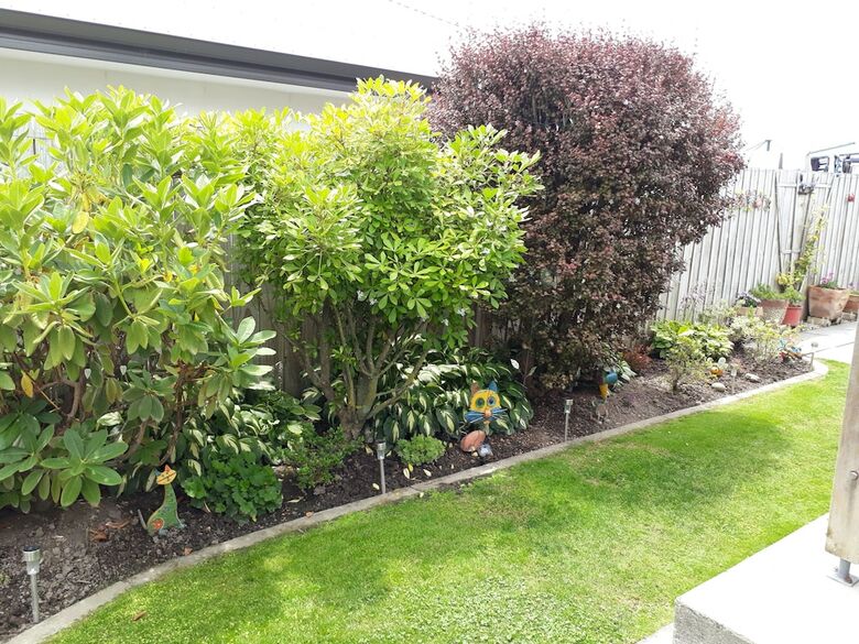 Bed & Breakfast Peaceful & Quiet Witherlea Homestay