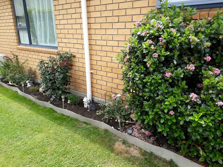 Bed & Breakfast Peaceful & Quiet Witherlea Homestay
