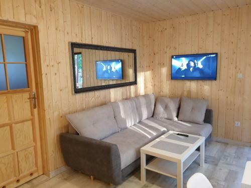 Lodge Domki T?cza