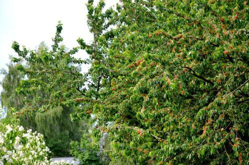Hostal Zielone Zacisze