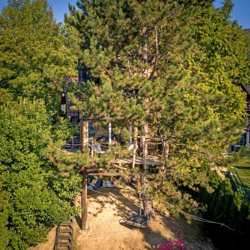 Radihaus & Treehaus ?ar