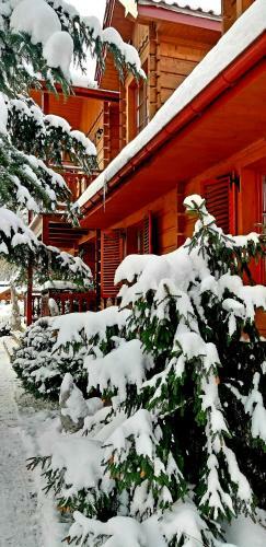 Hostal Willa Nad Popradem