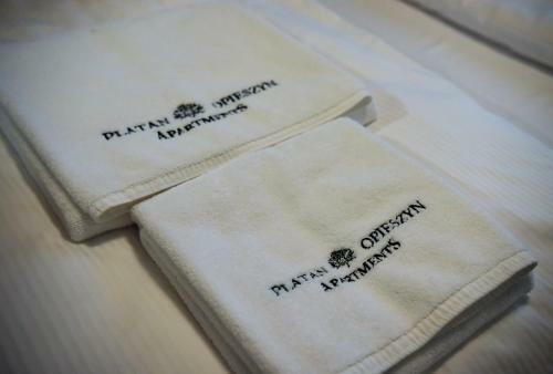 Apartamenty Platan Opieszyn 2