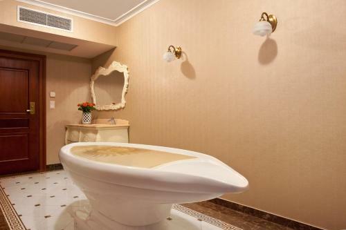 Hotel Pa?ac ?elech�w Spa & Wellness