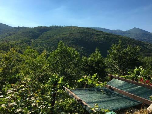 Agroturismo Retiro Da Arminda